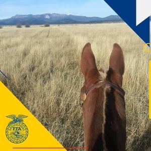 Meet your Posher, Shaney