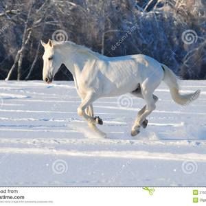 Meet your Posher, Jared