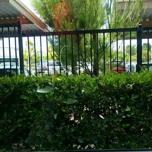 Meet your Posher, Valerie