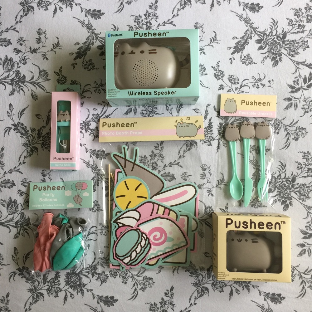 Pusheen Box Items