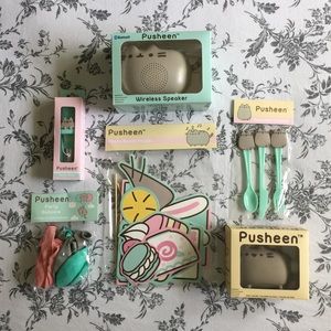 Pusheen Box Items