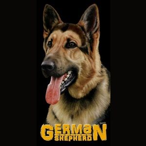 German Shepherd Beach Towel