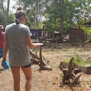 Meet your Posher, Rachel
