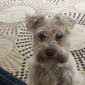 Meet your Posher, Madeline