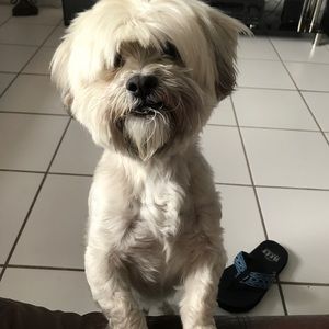 Meet your Posher, Sonya