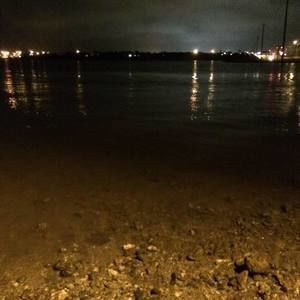 Meet your Posher, Logan