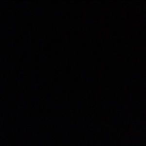 Meet your Posher, Paige