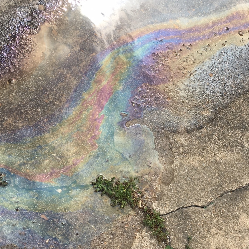 Meet your Posher, Mel