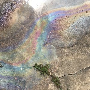 Meet your Posher, Mel