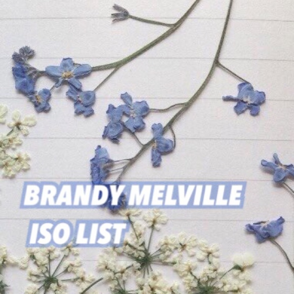 UPDATED ISO: BRANDY MELVILLE