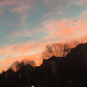 Meet your Posher, Molly