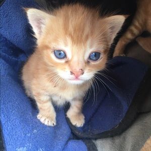 Meet your Posher, Isabelle