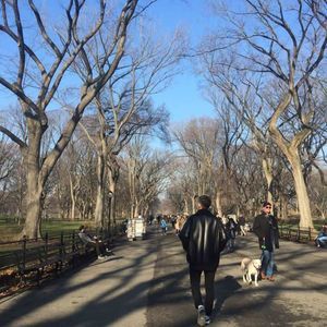 Meet your Posher, Joseph