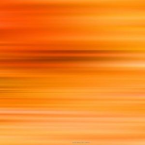 Meet your Posher, Avery