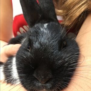 Meet your Posher, Sophie