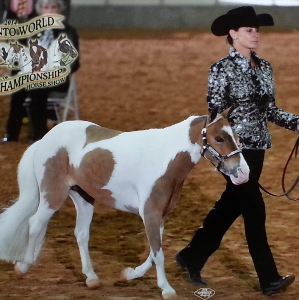 Meet your Posher, Kendelle