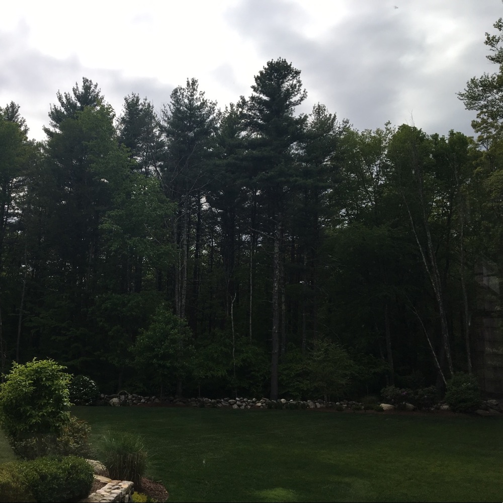 Meet your Posher, Makena