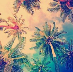 Meet your Posher, Yareli