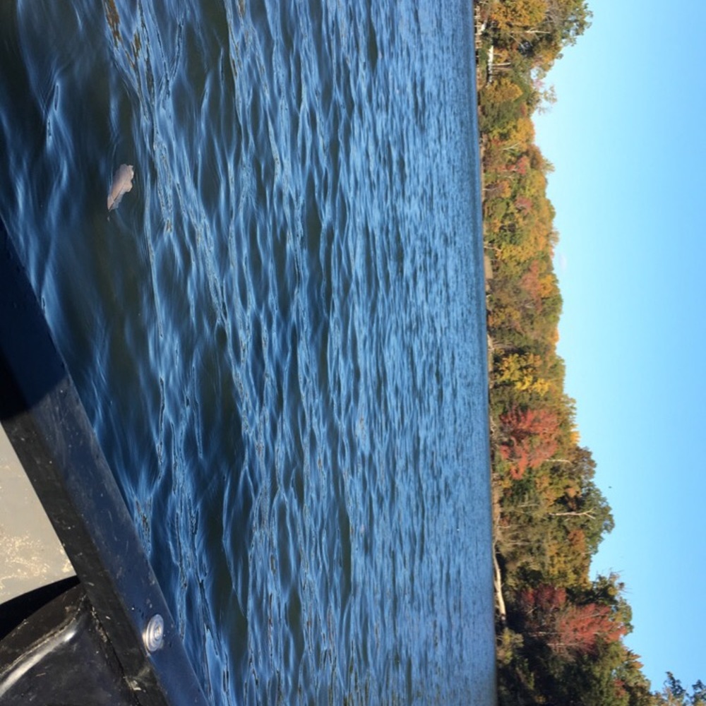 Meet your Posher, Diana