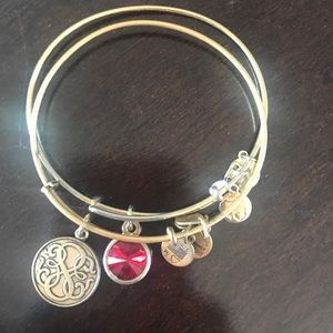 Alex and Ani path of life