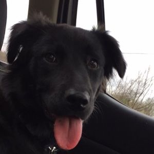 Meet your Posher, Clark