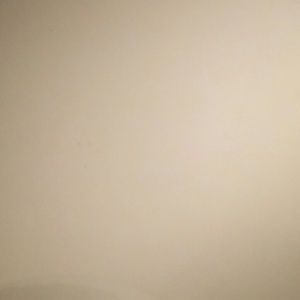 Meet your Posher, Ricardo