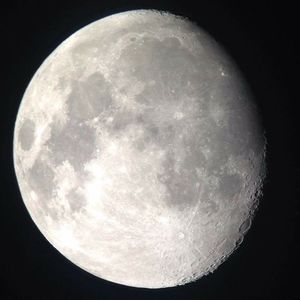 Meet your Posher, Wanda