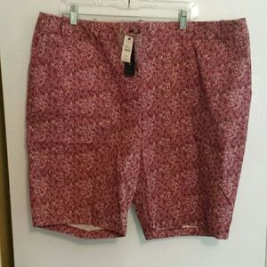 Adorable bermuda shorts!!