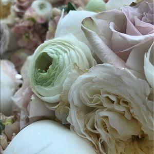 Meet your Posher, Ari