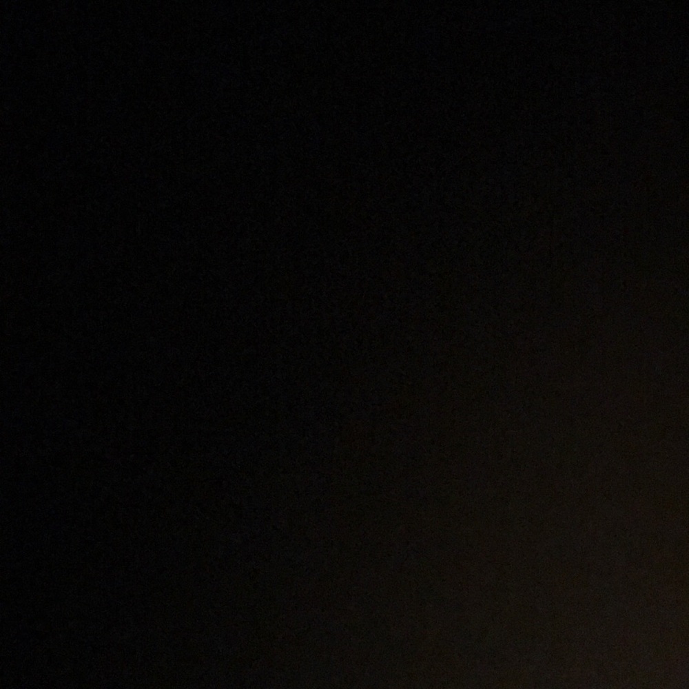 Meet your Posher, Madeline