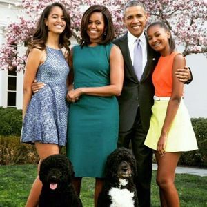 Meet your Posher, Stacey