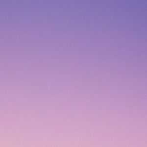 Meet your Posher, Alana