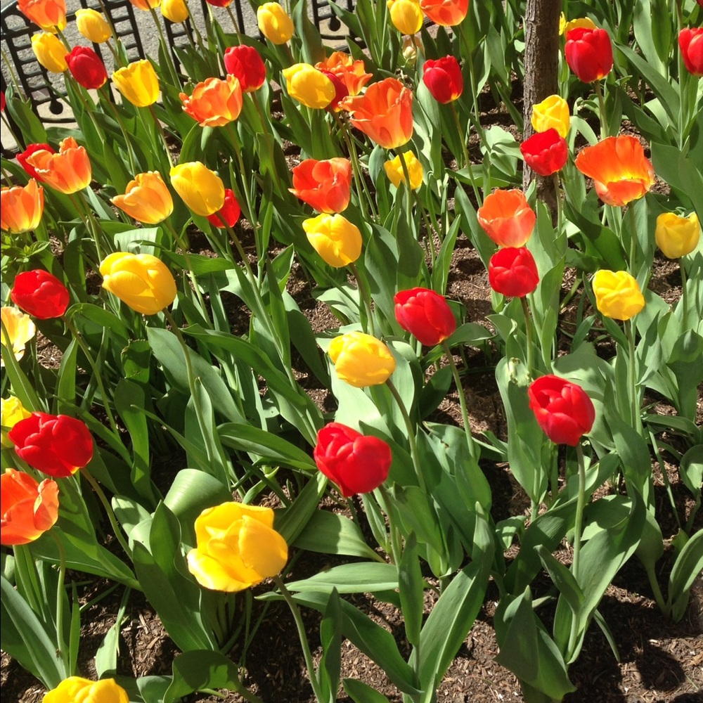 Meet your Posher, Helen