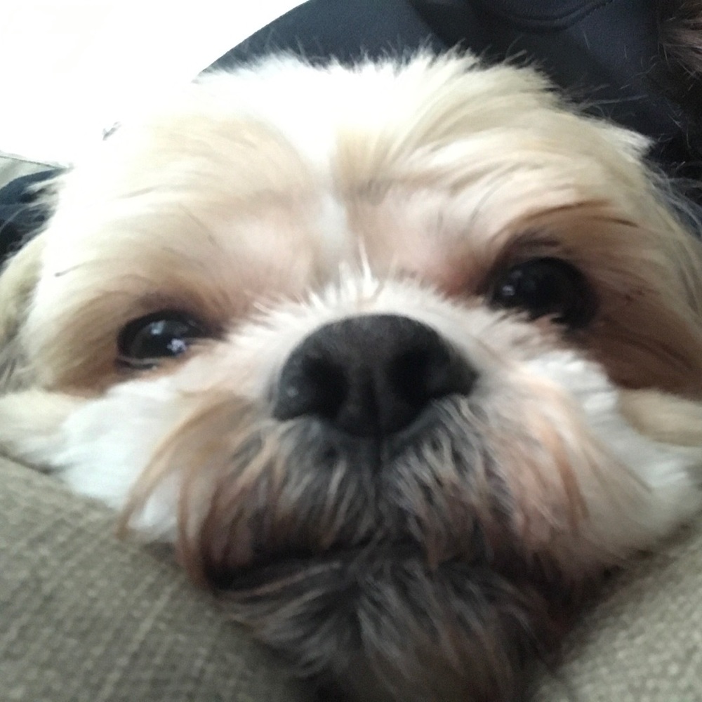 Meet your Posher, Gabby