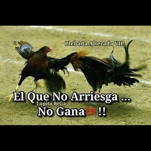 Meet your Posher, Susana