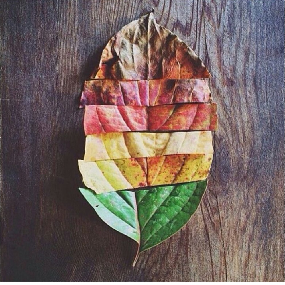 Meet your Posher, Eliana