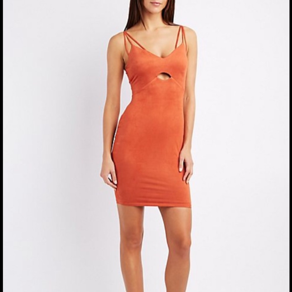 Marsala Bodycon Suede Dress