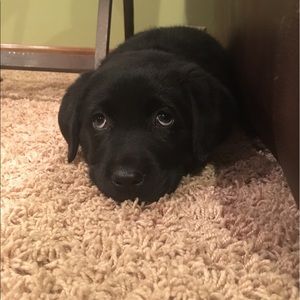 Meet your Posher, Deborah