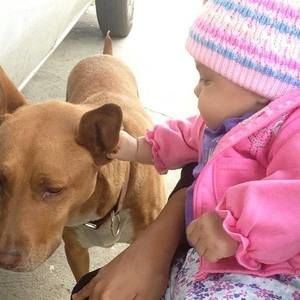 Meet your Posher, Anne