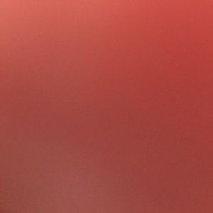 Meet your Posher, Tess