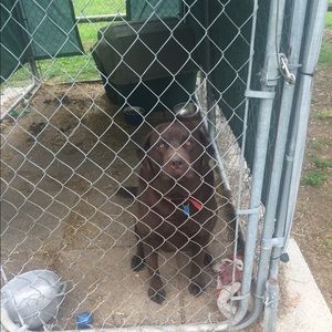 Meet your Posher, Ciara