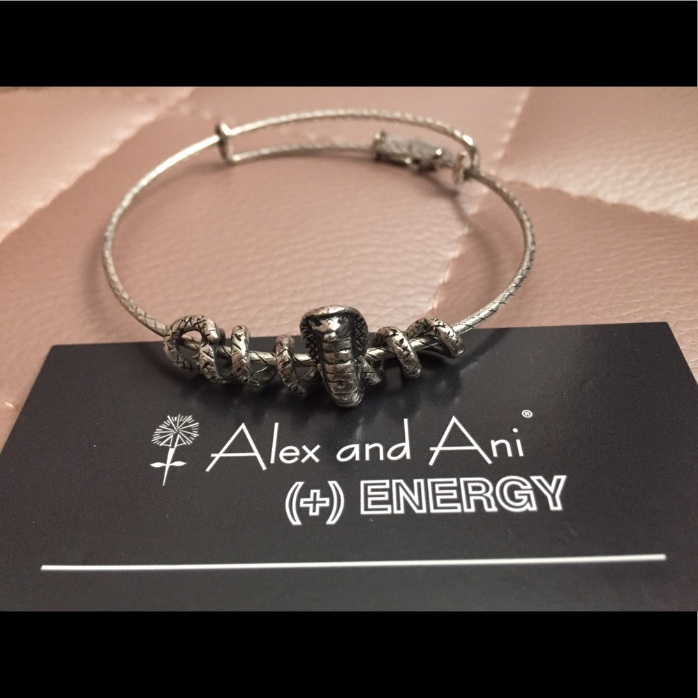 ⚠️ALEX and ANI COBRA (Serpent) Spiritual Armor