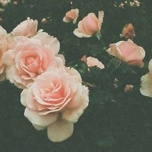 Meet your Posher, Miguel