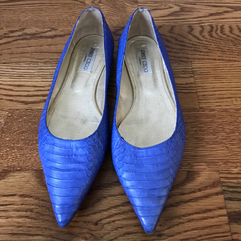 Blue Snake Embossed Pointed Toe Flats