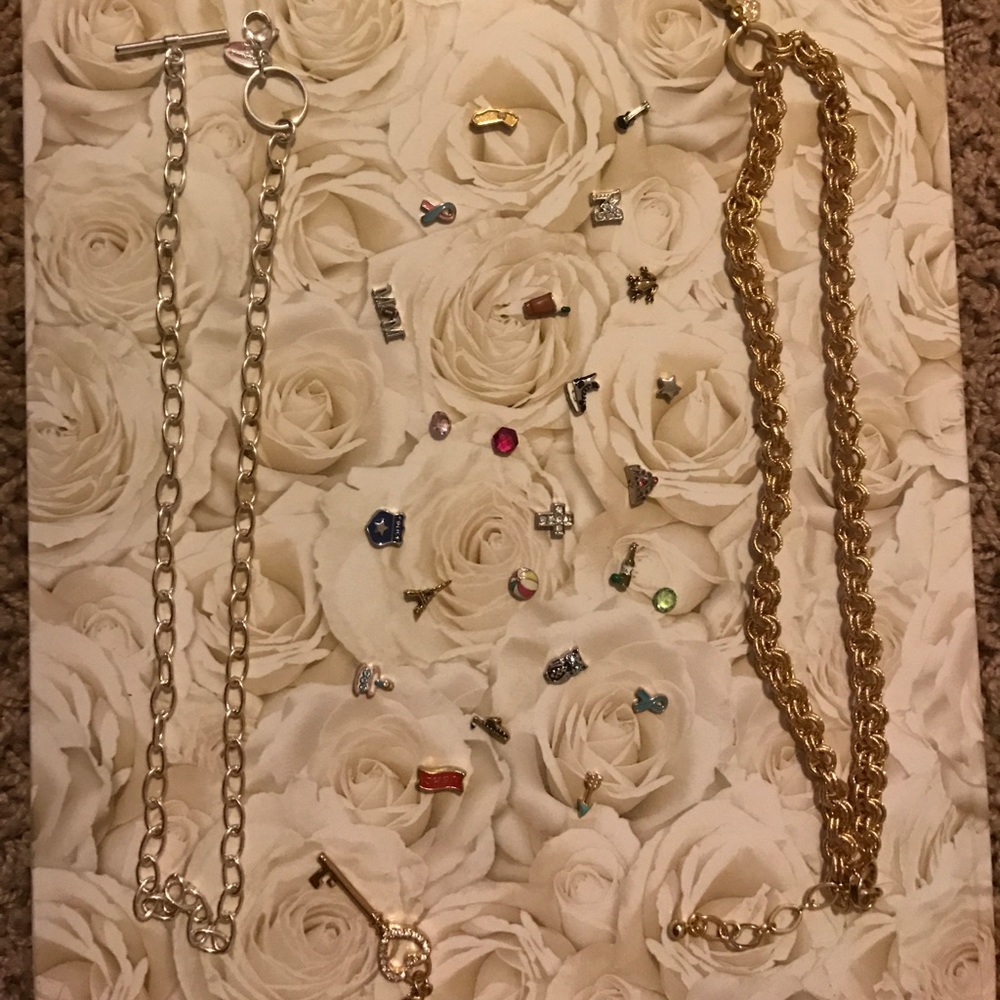 Lot of Origami owl chains and charms