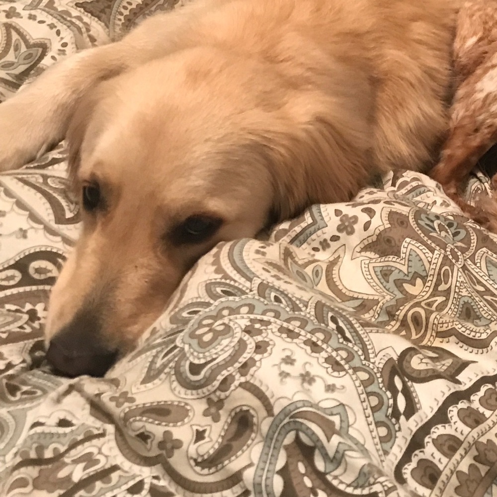 Meet your Posher, Brooke