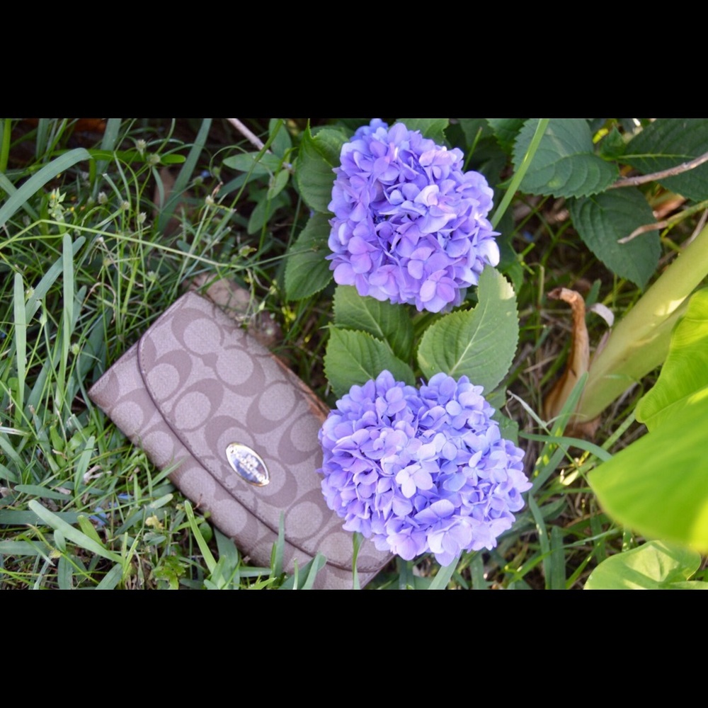 Coach wallet.