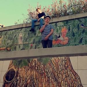 Meet your Posher, Nolan