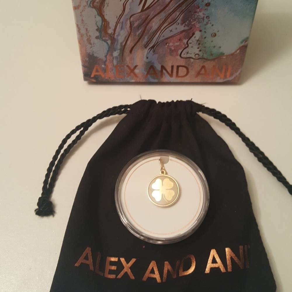 Alex and Ani Necklace Charm