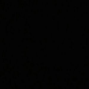 Meet your Posher, Ariel